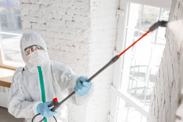 Best Industrial Mold Remediation  in Pacific, MO