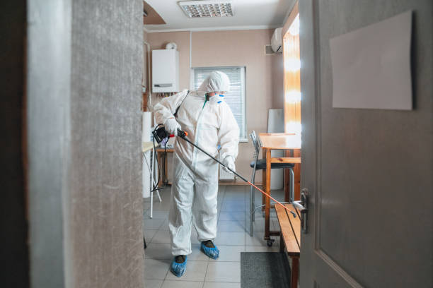 Best Commercial Mold Inspection  in Pacific, MO